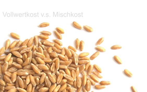 mischkost ungesund