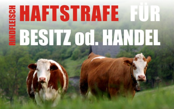 Fleisch Strafe Indien