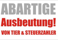 Mutterkuhprämie Förderung