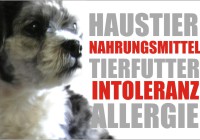 Tierfutter vegan Futter