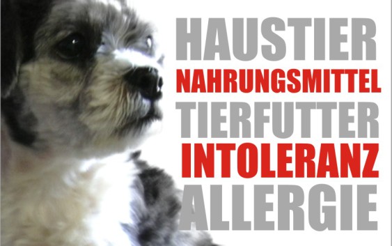 tierfutter allergie
