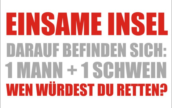 Mann Schwein Insel Rettung