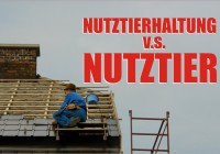 Nutztierhaltung & Nutztier