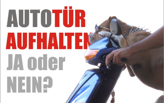 Autotuer aufhalten knigge