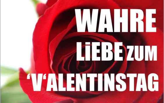 valentinstag vegan liebe betrug