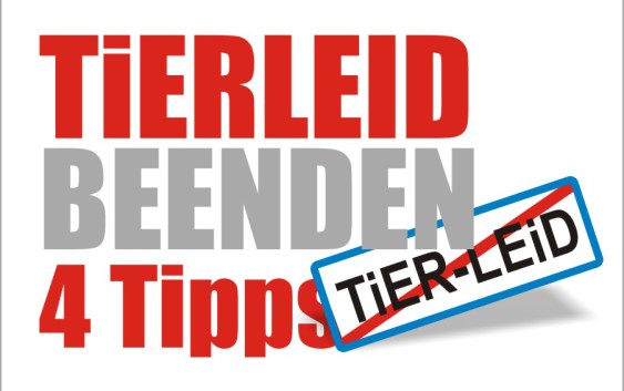 tierleid beenden tipps gegen tierausbeutung