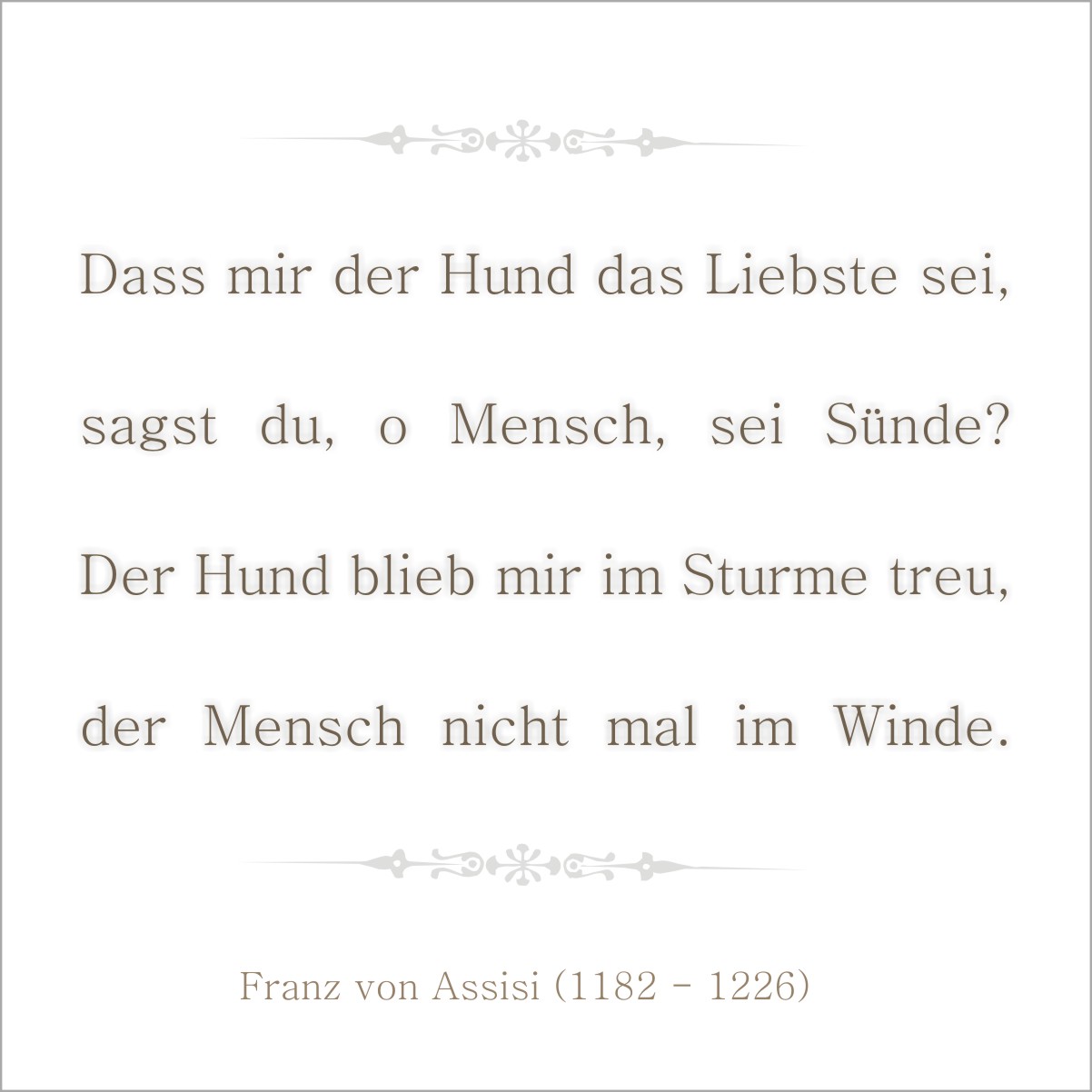 zitat-dasz-mir-der-hund-das-liebste-sei-sagst-du-o-mensch-sei-sunde-der-hund-blieb-mir-im-sturme-treu-franz-von-assisi-16