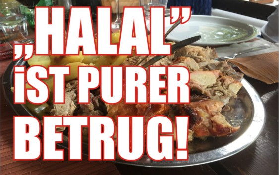 HALAL Fleisch ist purer Betrug - das Fleisch ist HARAM!