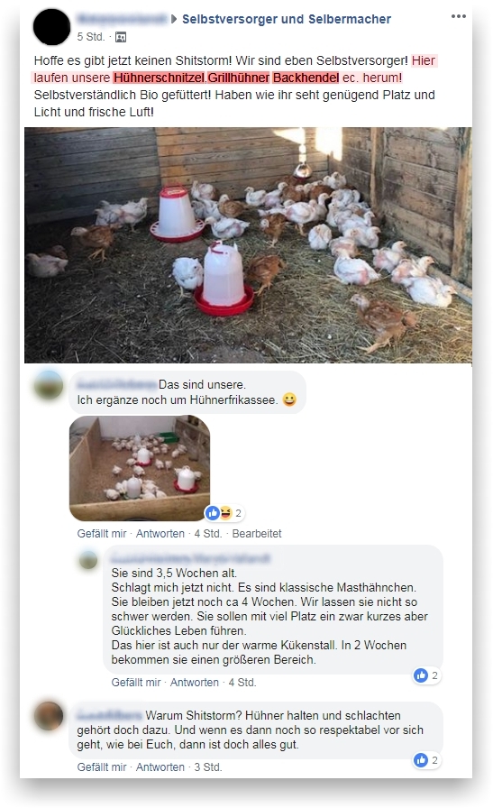 tiere sollen ein kurzes glückliches leben haben Nutztiere Hühner Eier eigene halten