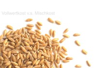 Vegane Ernährung v.s. Mischkost