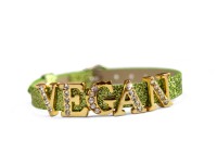 Armband VEGAN