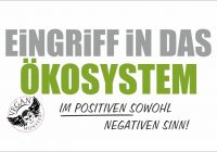 Wie trägt der Mensch zum Gleichgewicht des Ökosystems bei?