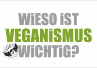 Wieso ist Veganismus wichtig?