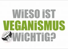 Wieso ist Veganismus wichtig?