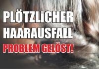 Haarausfall Problem gelöst